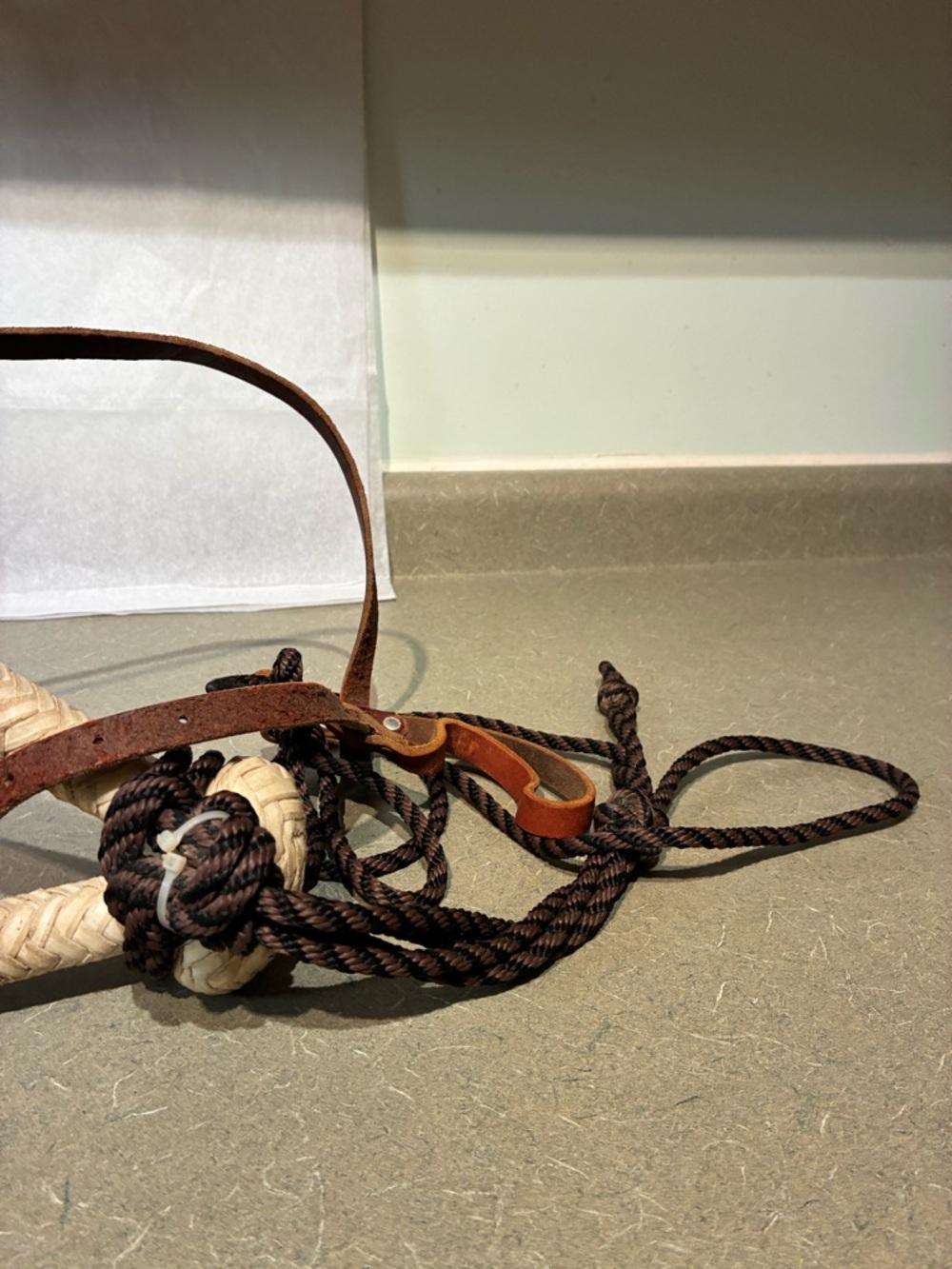 Bosal With Headstall**READ - Picture 3 of 14